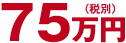 50万円（税別）