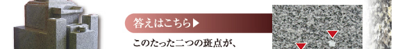 答えはこちら→このたった二つの斑点が、