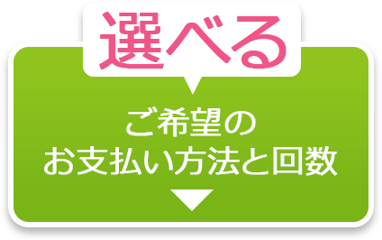 選べる　ご希望のお支払い方法と回数