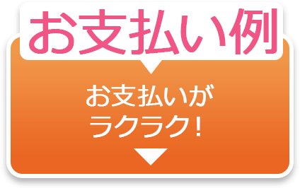 お支払例　お支払いがラクラク！