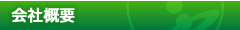 ЊTv